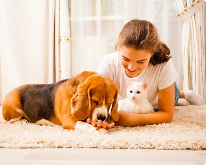 brain training for dogs module-3